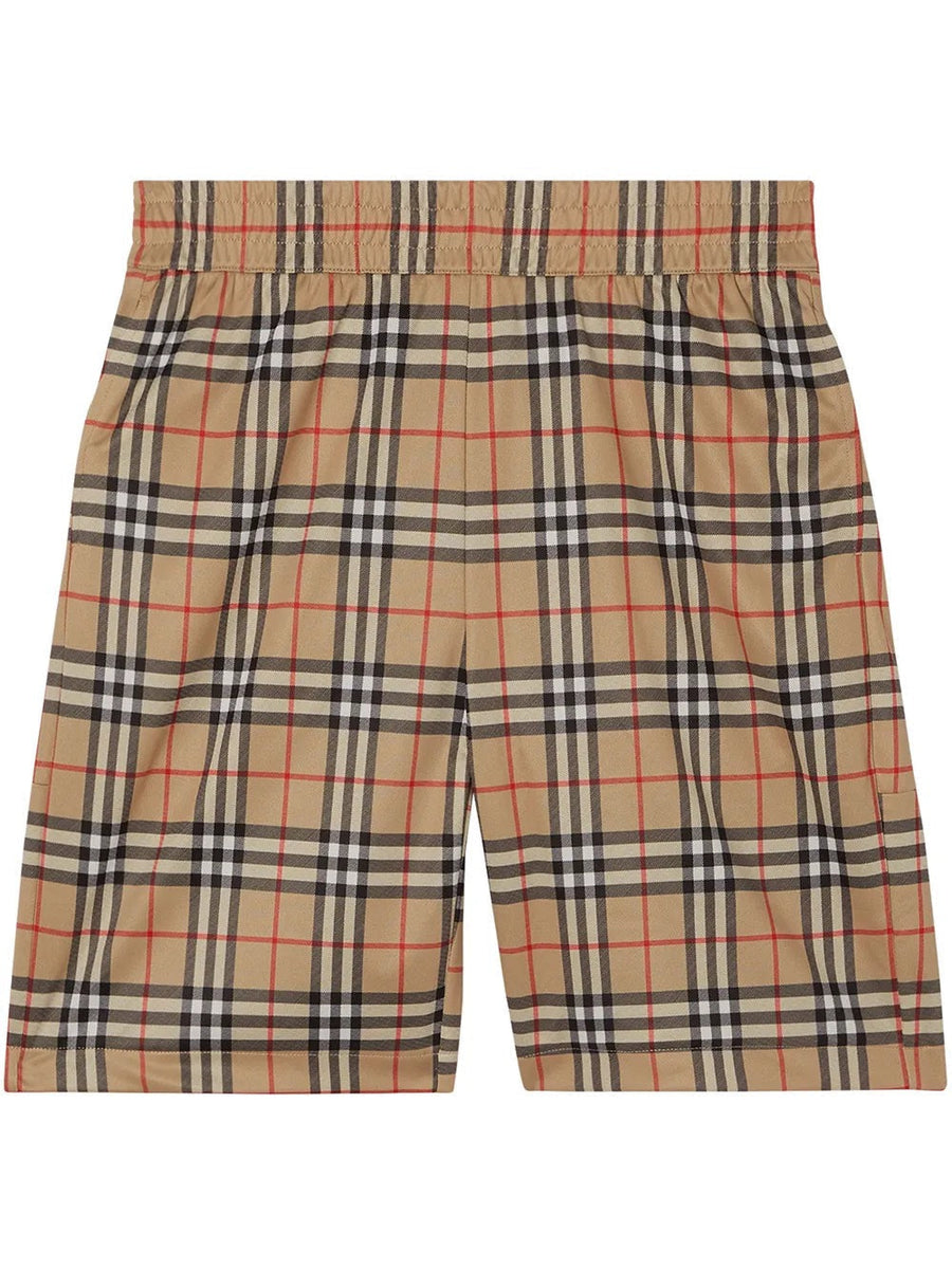 "Berry" Shorts V3