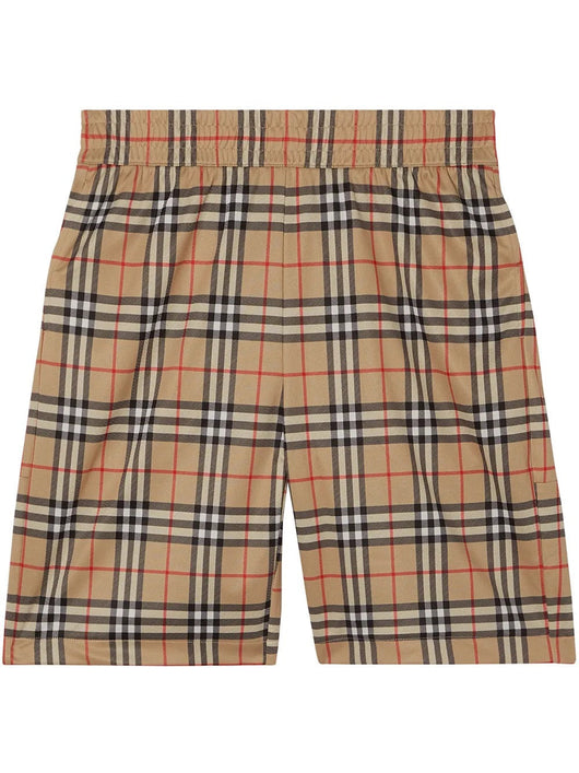 "Berry" Shorts V3